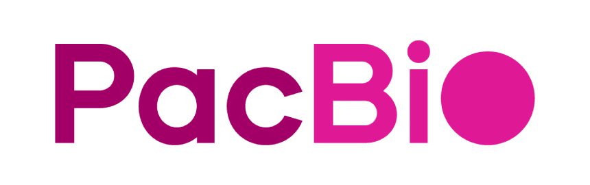 A pink logo for the bic brand.